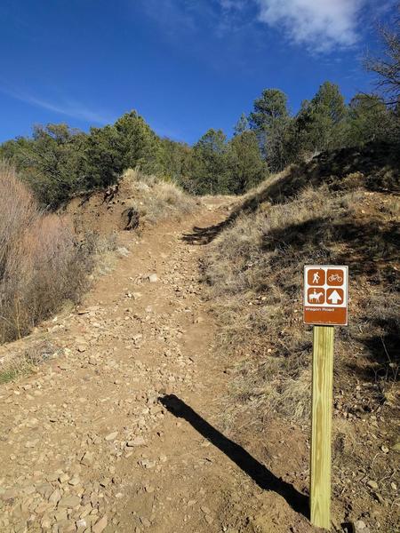 Start of the trail, increased incline and narrowing.