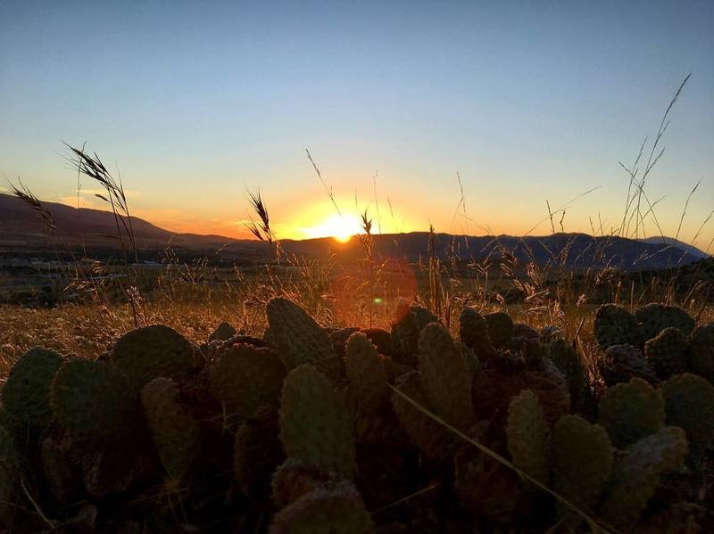 Sunsets are epic in this area. Cacti live amongst the granite on the NICA loop. TMTA/Lehigh Trails, Tehachapi, California.