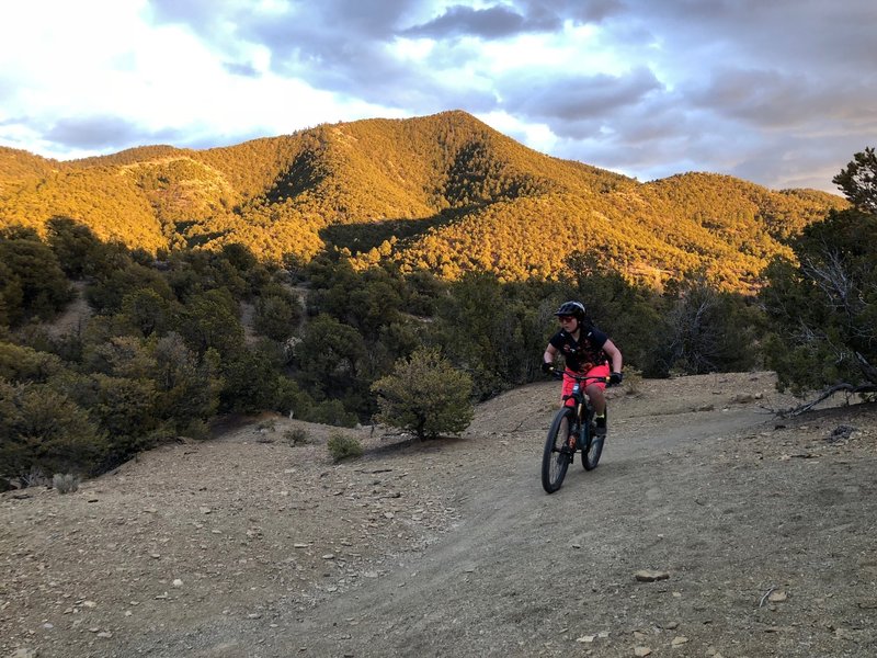 Dale Ball Outer Limits Mountain Bike Trail, Santa Fe, New Mexico