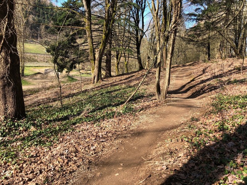 Gateway Green Fence Line Trail - singletrack