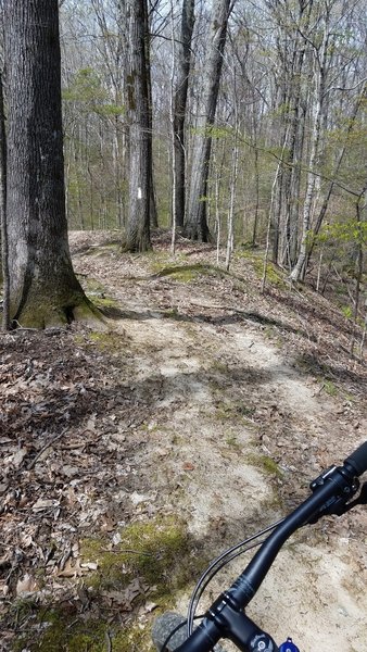 flowy singletrack