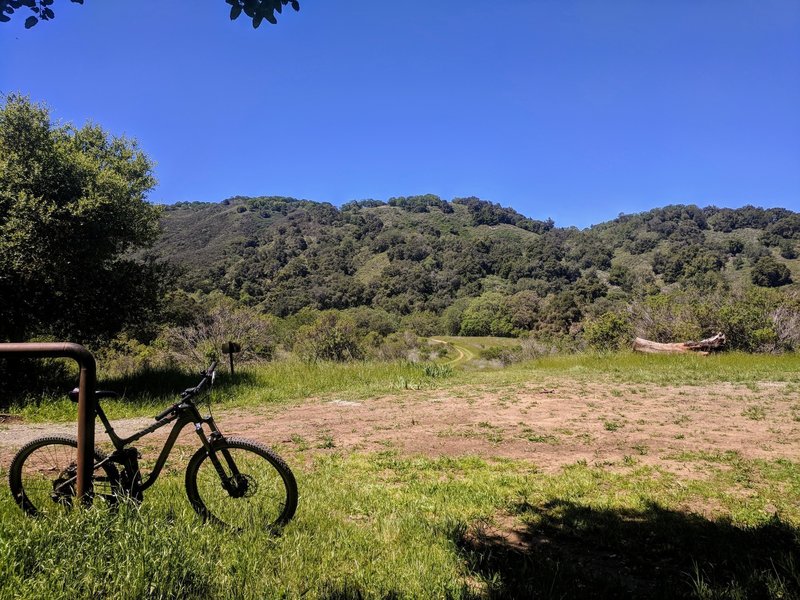 Cottle Rest Site