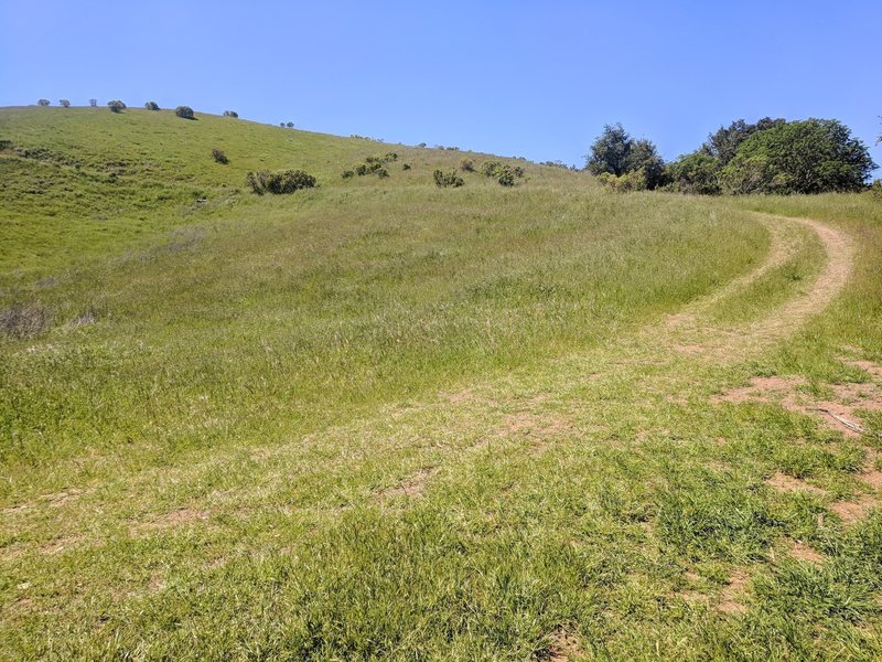 View of the climb on Bald Peaks Trail from the Junction of Chisnantuk and Bald Peak trails.