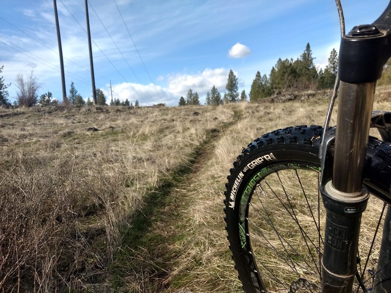 Trail 122 - Crater Loop