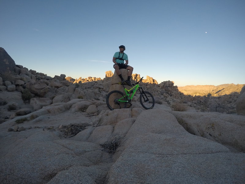 joshua tree mountain biking