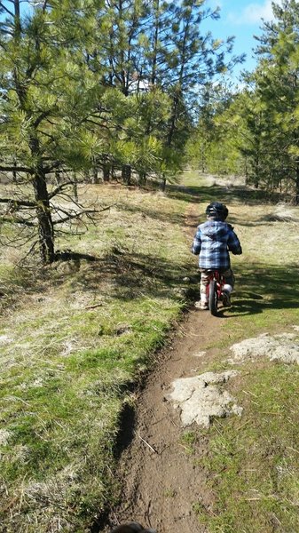Trail 103 - North Loop Cutoff