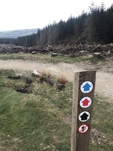 coed llandegla mtb