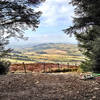 View from Llandegla: The infamous view looking out from the mountain bike trails at Llandegla Forest.