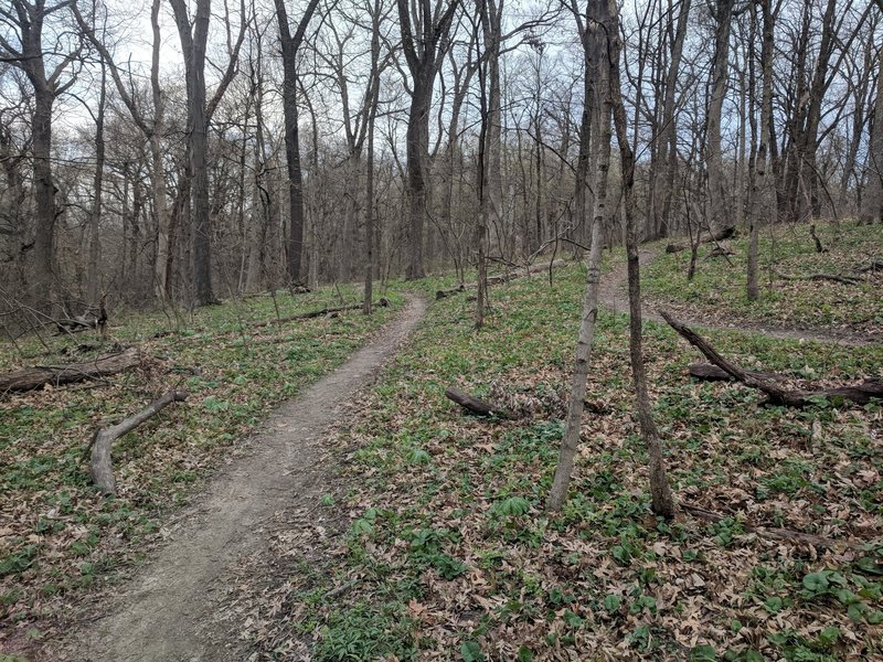 hidden valley mountain bike trails