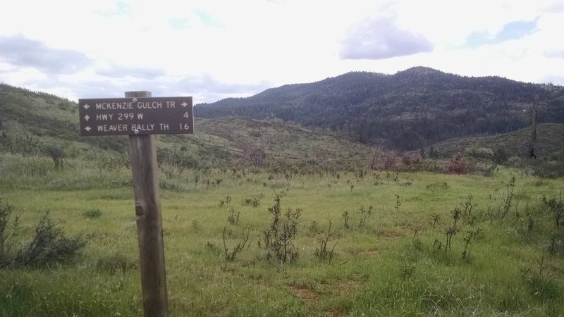 Trail sign at the intersection of McKenzie Gulch Trail and McKenzie Gulch Spur