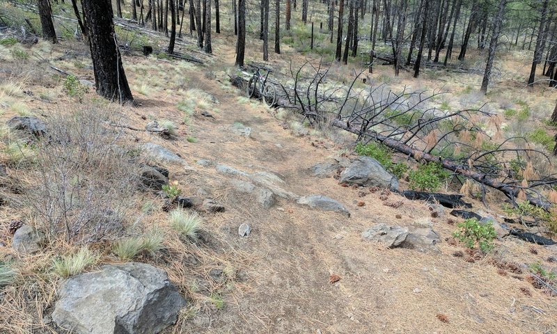 A little uphill, rocky switchback to keep you on your toes.