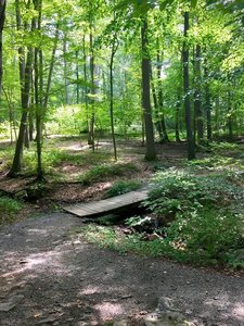 Mountain Bike Trails near Lewis Morris County Park