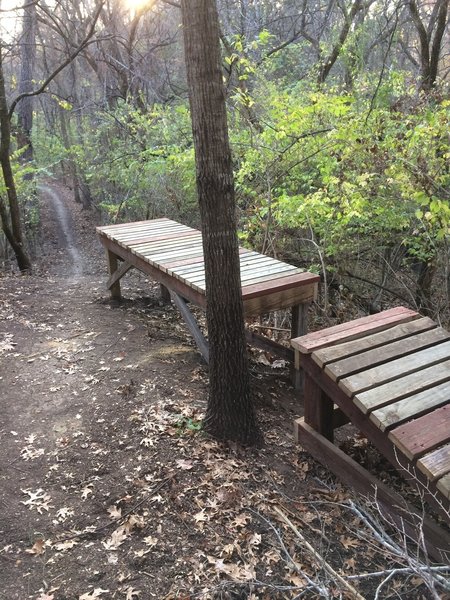 Bobcat Boogie Mountain Bike Trail, Sherman, Texas