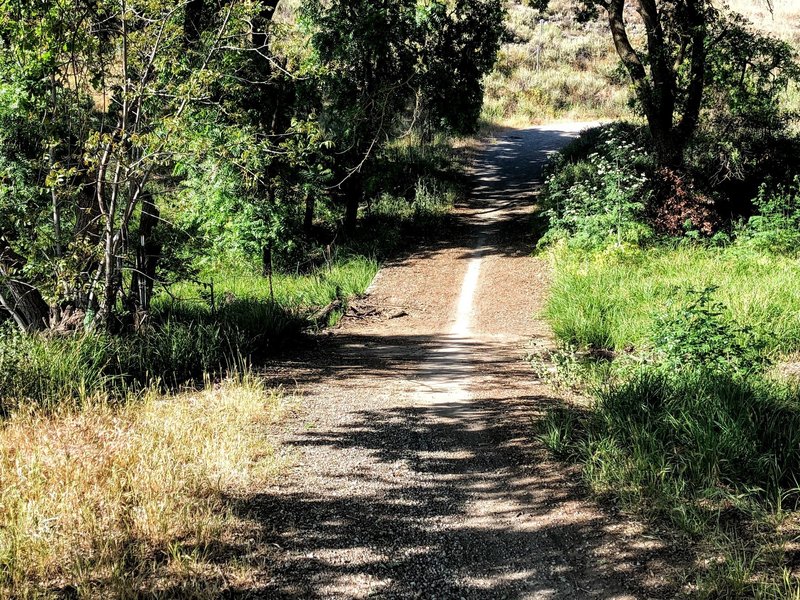 Calero Creek Trail