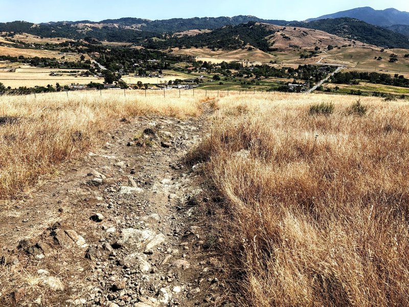 Beginning of the descent going south on Stile Ranch trail. It's rocks like this all the way down to the parking lot, plus switchbacks.