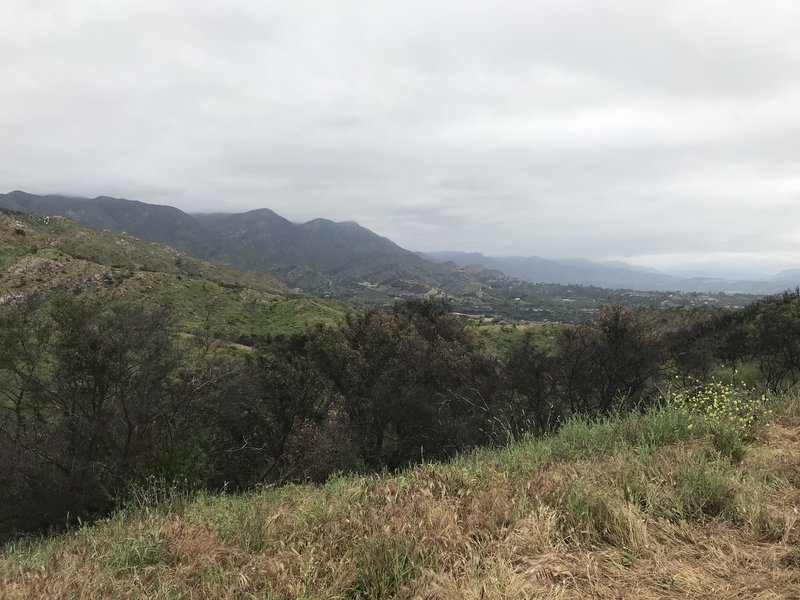 Wills Canyon Trail