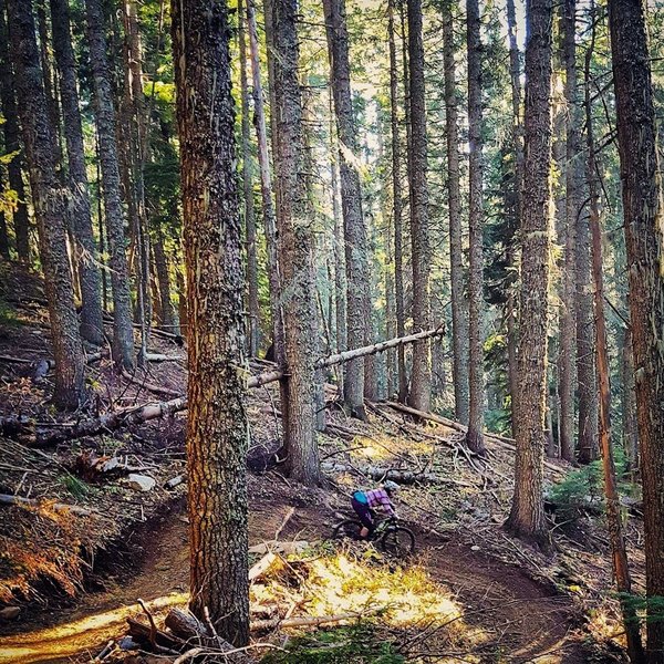 One of the first large berms in the top, flowy section of The Goods