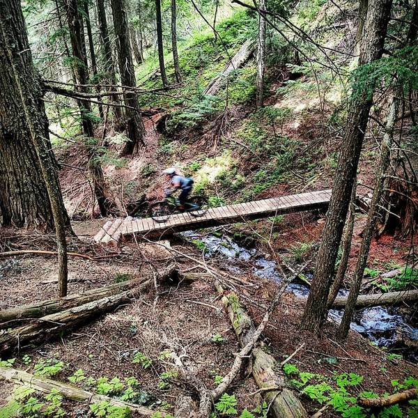 Trail 120