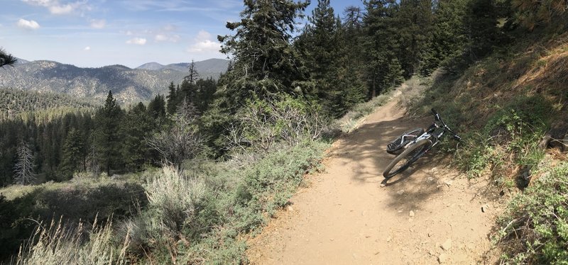Great views on this trail