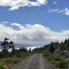 A fantastic variety of trails - gravel logging road here, heading west