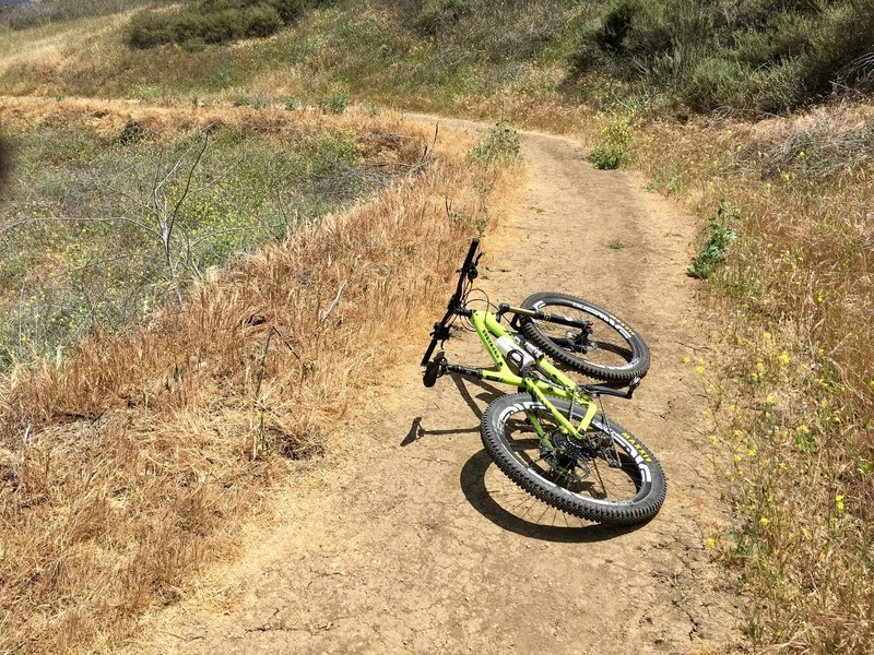 Schabarum Trail Extension