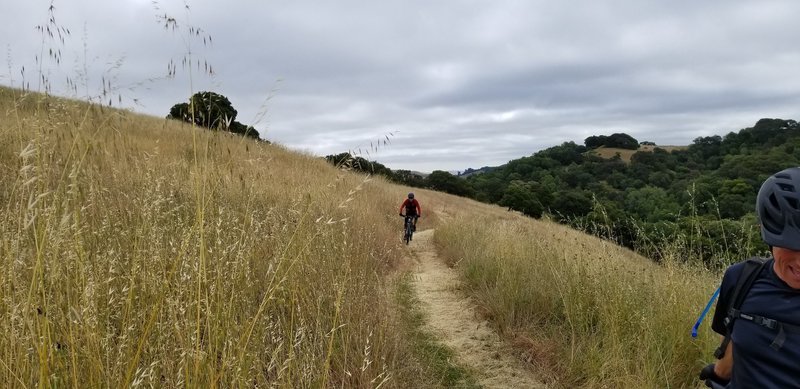 Woodland Trail
