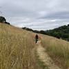 Well groomed, gently sloping singletrack!