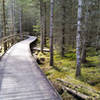 Boardwalks over water and moss to bird hide over Loch Laide, at Abriachan Forest Trust