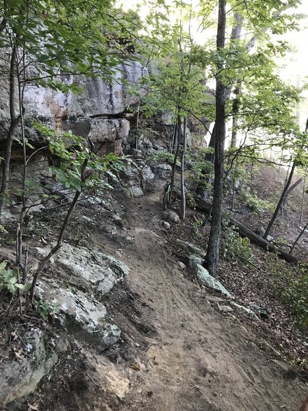 View of the trail along the cliff