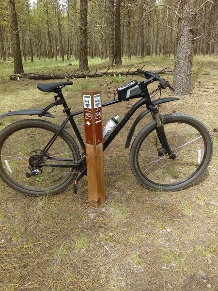 Trail 203