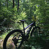 Wildcat trail is marked by yellow trail markers. See by right handlebar