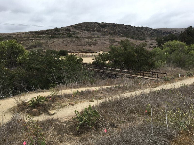 Shady Canyon to Bommer Canyon to Quail Hill Loop