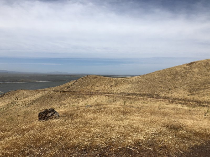 Soapwort Trail photo taken from Coyote Hills trail overlook facing northwest.