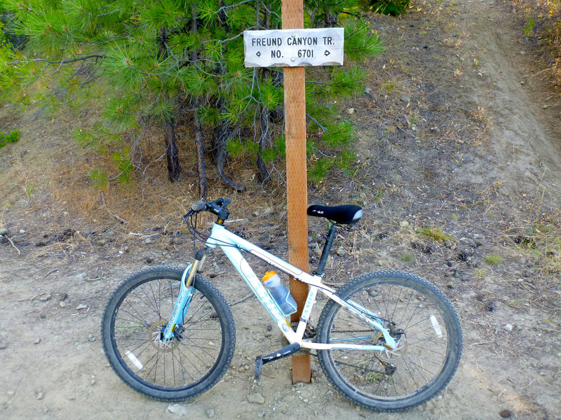 Freund Canyon #6701