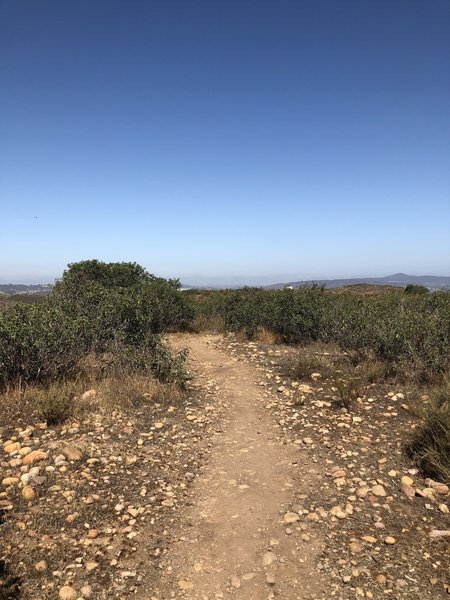 Top of Ridgeline Trail. Almost 1300 ft.