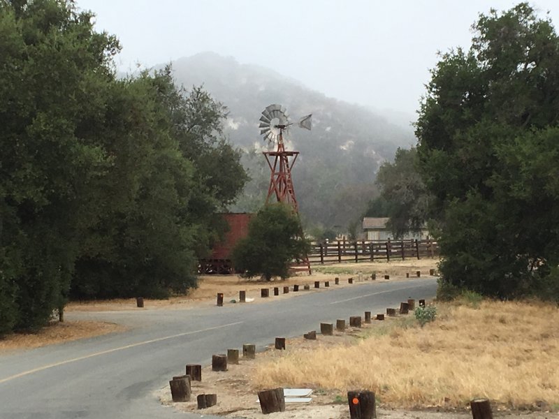 Oso Loop in Caspers Wilderness Park