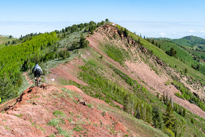 wasatch crest trail shuttle