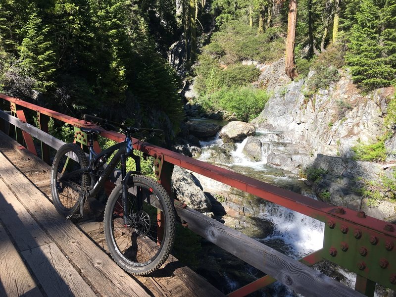 Pauley Creek OHV Trail (11E03)