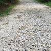 Loose coarse gravel characterizes much of this trail