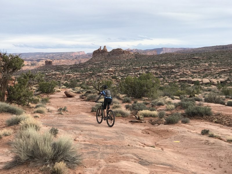 Navajo Rocks loop. One of the best trails in Moab!