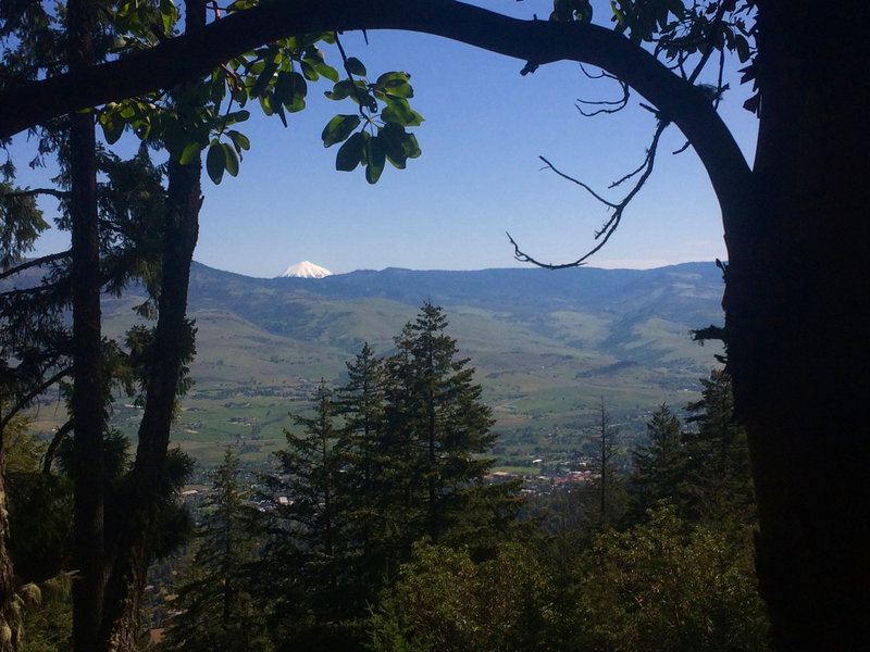 Mt. McLoughlin stands far in the distance from this viewpoint on the Fell on Knee Trail.