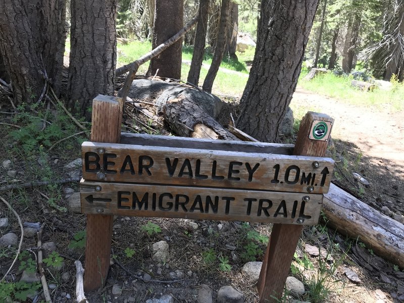 Bear Valley to Alpine Lake Trail
