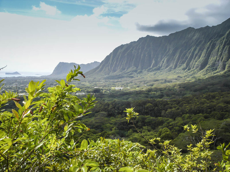 Maunawili Trail Mountain Bike Trail, Waimanalo, Hawaii