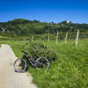 Typical Italian vineyard and villa