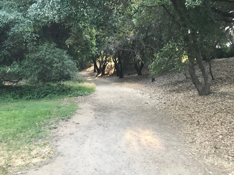 Lodi Lake Wilderness Trail