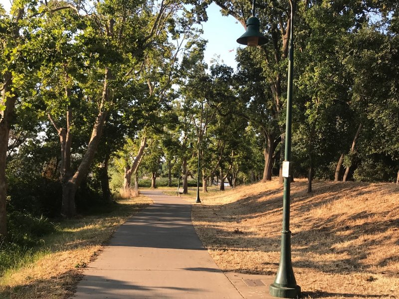 Bike Path around Lake