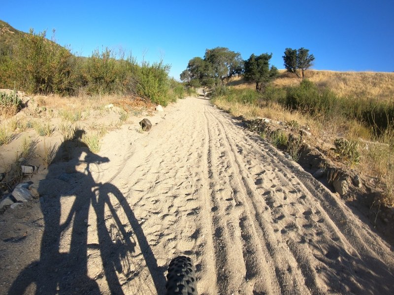 The Sand Trap