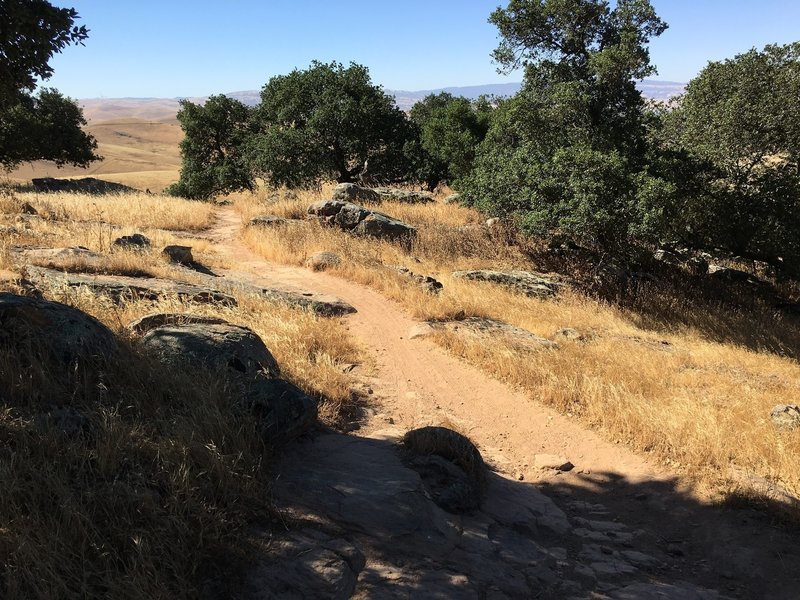 Top of the hill - nothing but rocks