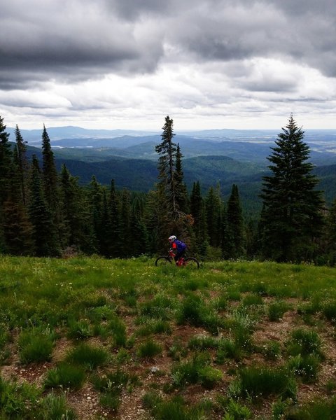 North Summit Road