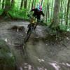 Some downhills at Fort Harrison State Park